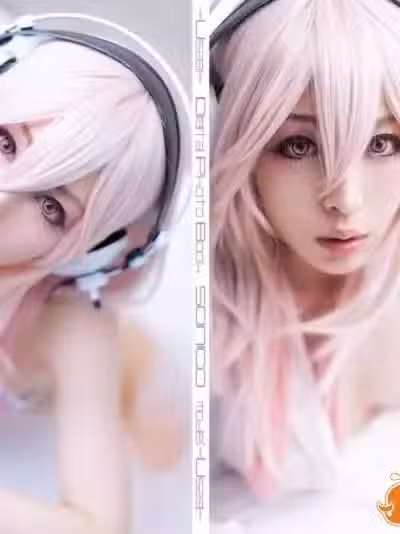 Digital photo book – SONICO