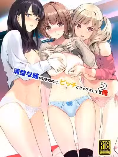 [裏FMO (フミオ)] 清楚な姉が好きなのに、ビッチとセックスしてる俺2