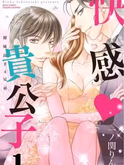快感‧贵公子_撩妹高手4兄弟/快感・ブラザーズ 御曹司はテクニシャン