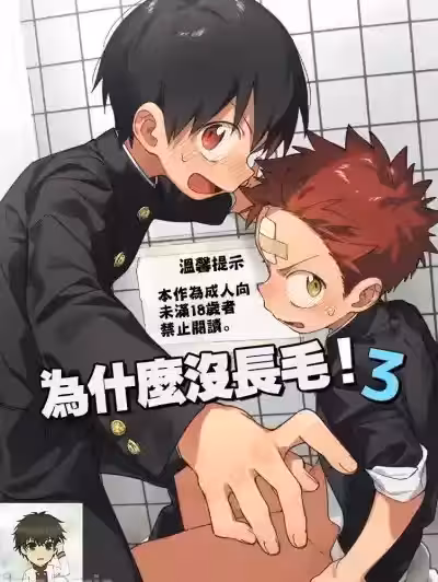 为什么没长毛! 3 [海棠零个人汉化] [毛糸の森 (うーる)] 毛が生えへん! 3 [中国翻訳] [DL版]