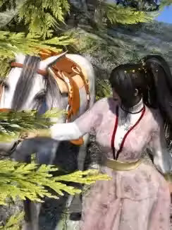 浮萍女侠传