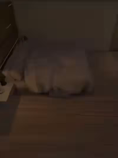 [软骨] 潜入危机